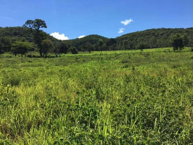 Fazenda para Pecuária a 4 km da BR 364 - Foto 9