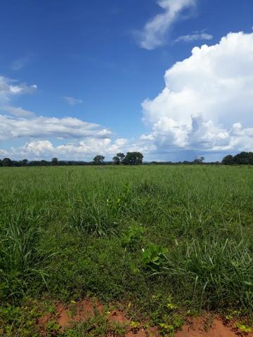 Fazenda 663 Alqueires região Porangatu Goias - Foto 5