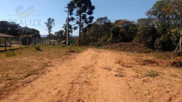 Chácara à venda em Contenda, São josé dos pinhais cod:1823956 - Foto 7