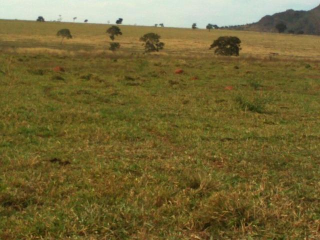 Fazenda 2.520 Alqueires - Foto 6