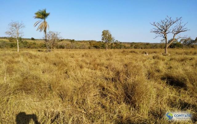 Fazenda 92 Ha toda formada e divisao de pasto - Foto 11