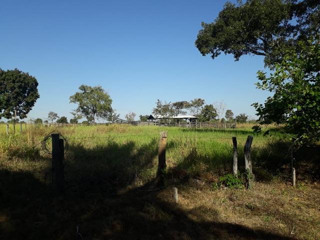Fazenda para Pecuária em Livramento - Foto 9