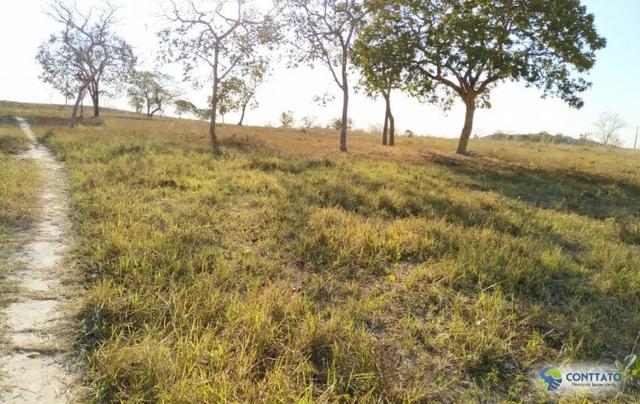 Fazenda 92 Ha toda formada e divisao de pasto - Foto 13