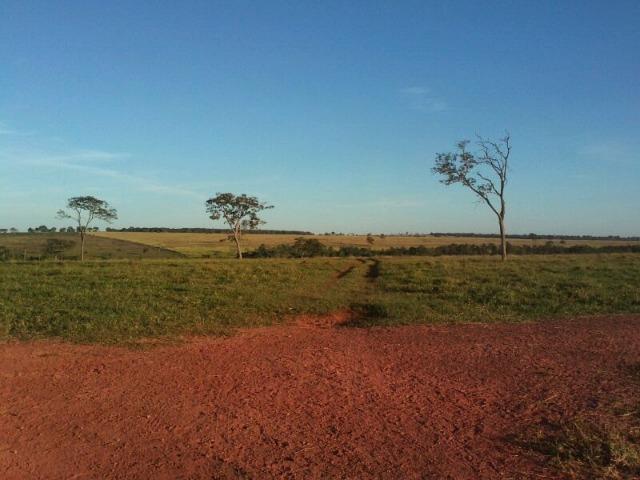 Fazenda 2.520 Alqueires - Foto 15