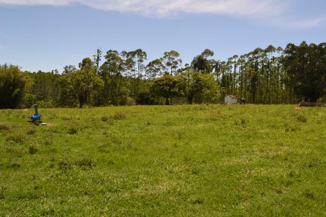 Sorocaba Região Fazenda 190 Alqueires - Foto 9