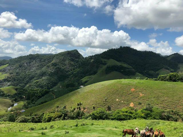 Fazendinha em SANTA LEOPOLDINA ESCRITURADA - Foto 7