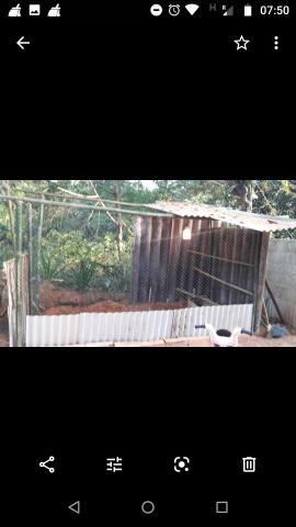 Vendo ou troco exelente casa - Foto 12