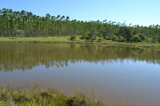 Sorocaba Região Fazenda 190 Alqueires - Foto 7