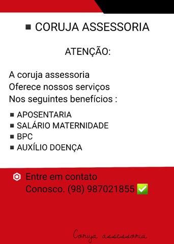 Coruja assessoria