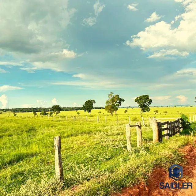 Faz em Nova Andradina-MS, 5.793 hectares. - Foto 6