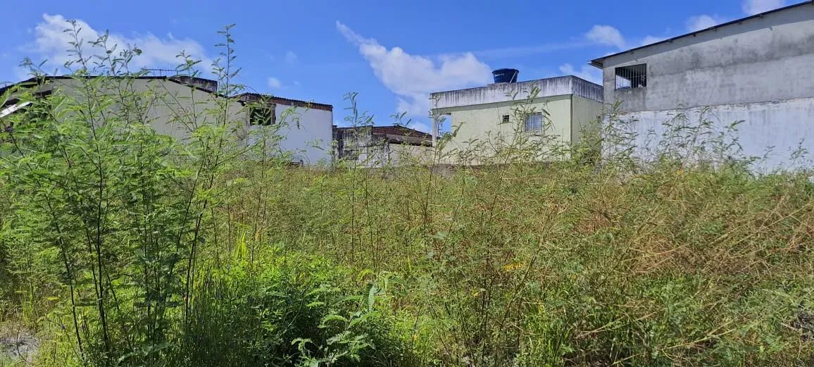 Alugo terreno c/ 800m² na Imbiribeira próximo a Lagoa do Araçá e Av  Eng Alves de Souza, R - Foto 4