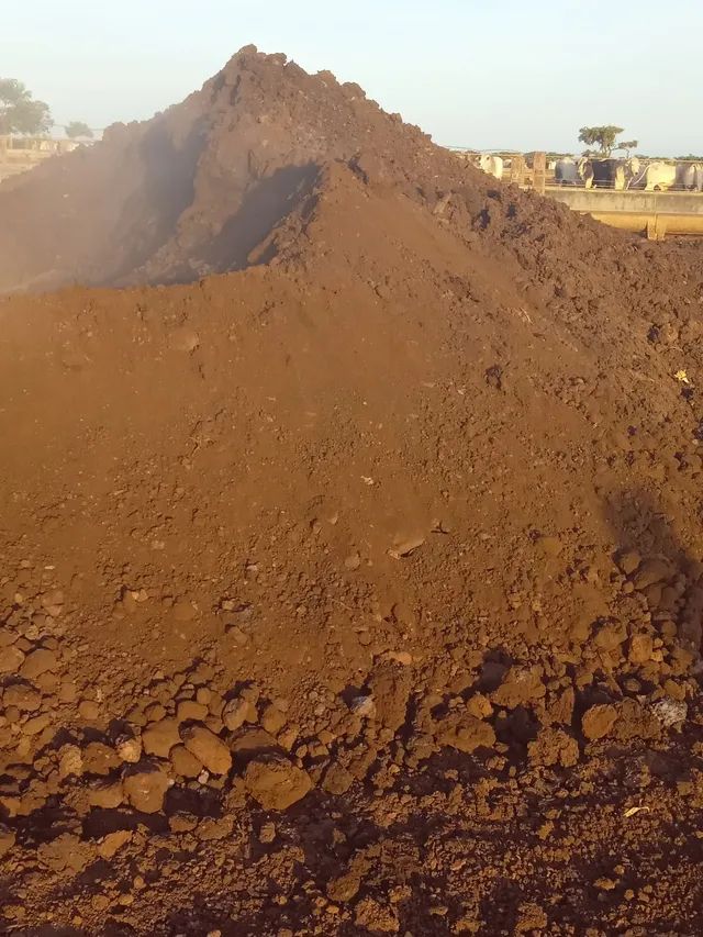 Esterco de Gado Confinado [Curtido] - Foto 2