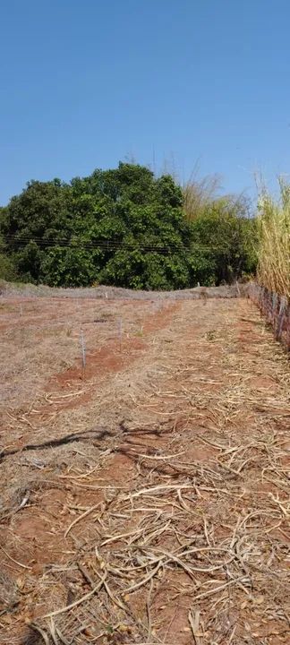 Sítio com 22.800m2 em Bady Bassitt  - Foto 9