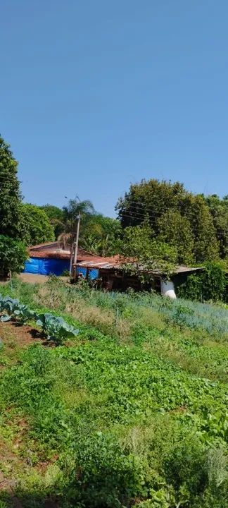 Sítio com 22.800m2 em Bady Bassitt  - Foto 11