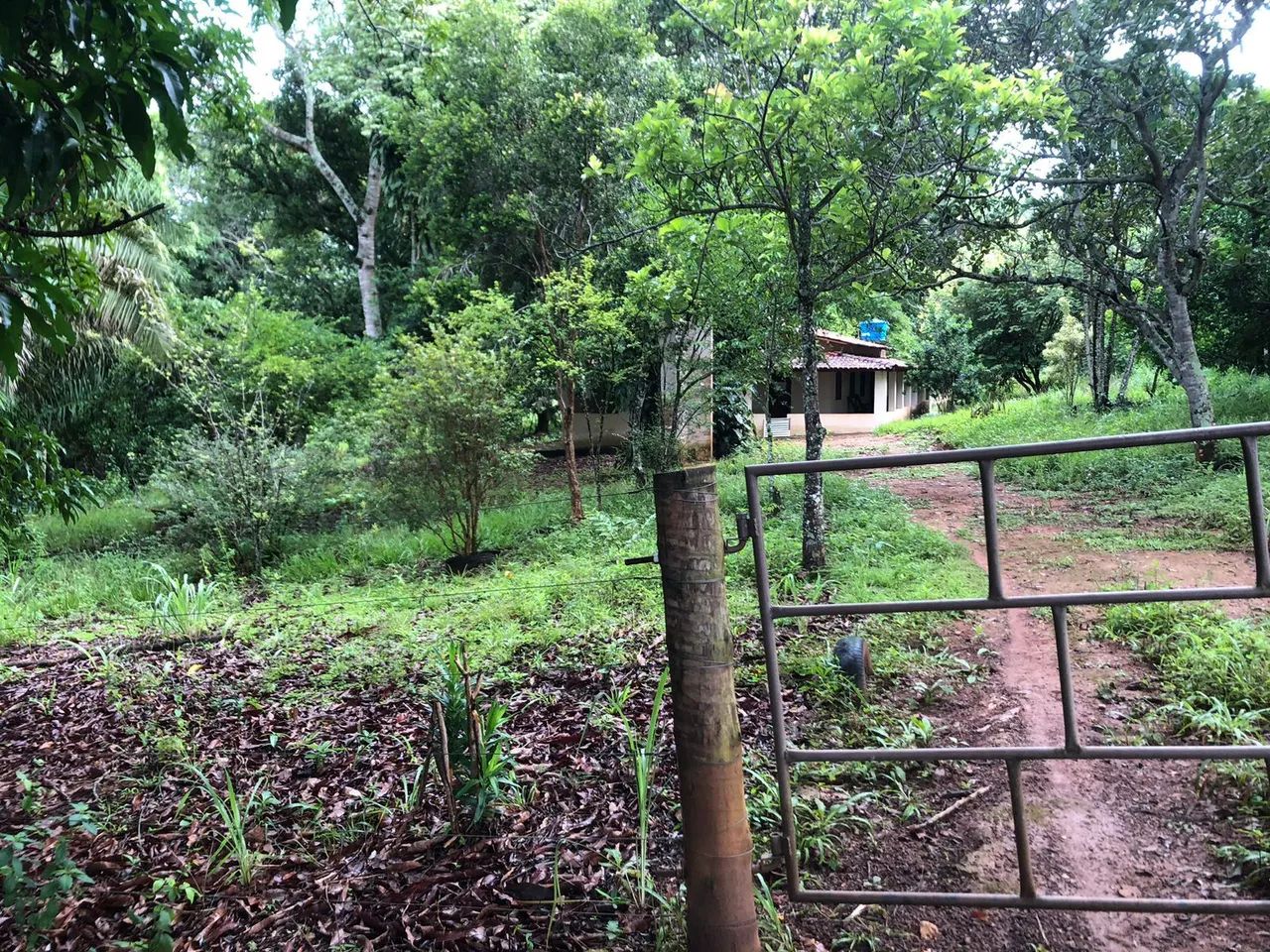 Chacara em santa barbara go - Foto 15