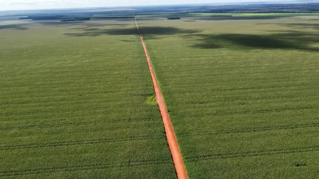 Fazenda em Campos De Júlio-MT