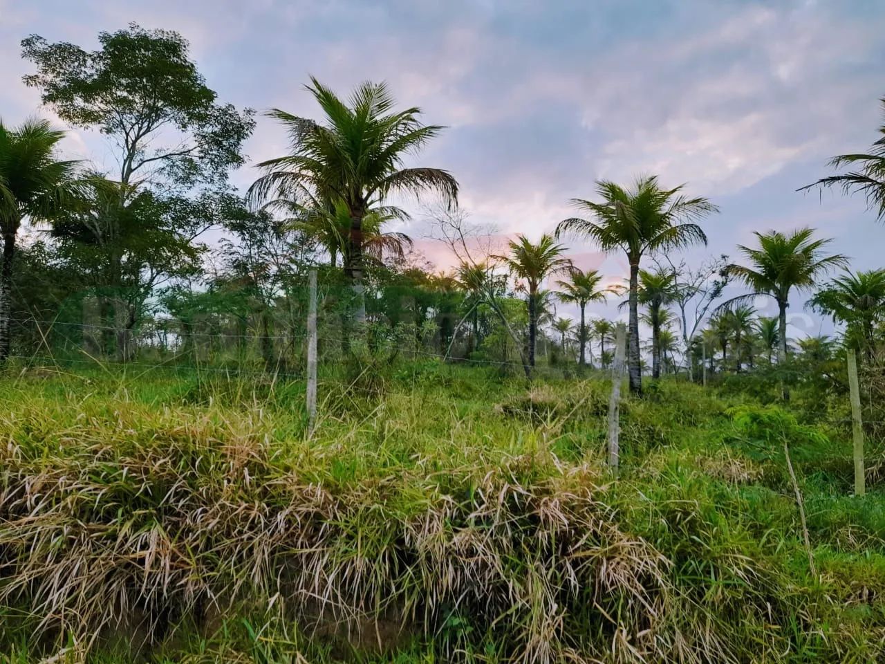 Excelente terreno para venda, com excelente localização !!! - Foto 2