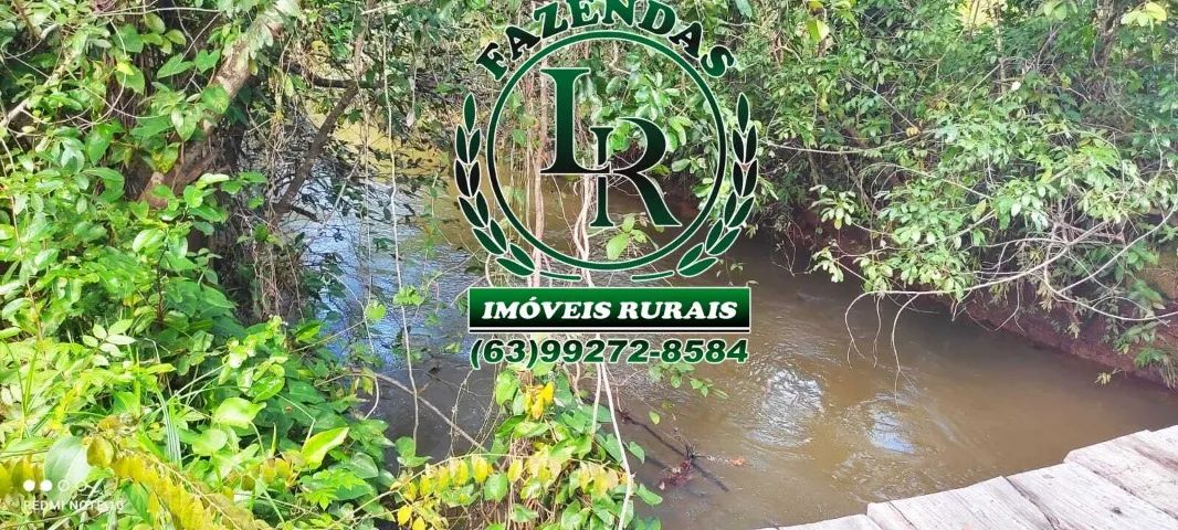 Fazenda 1.194 Alqueires Plana Dupla Aptidão - Foto 2
