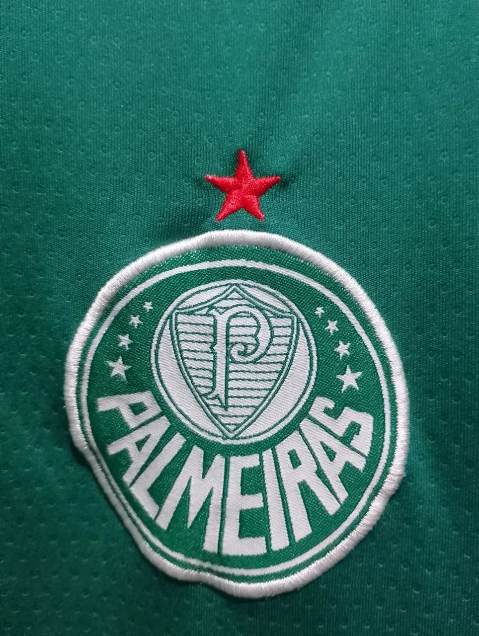 Palmeiras 2019 Primeira Camisa Tam M - Foto 2