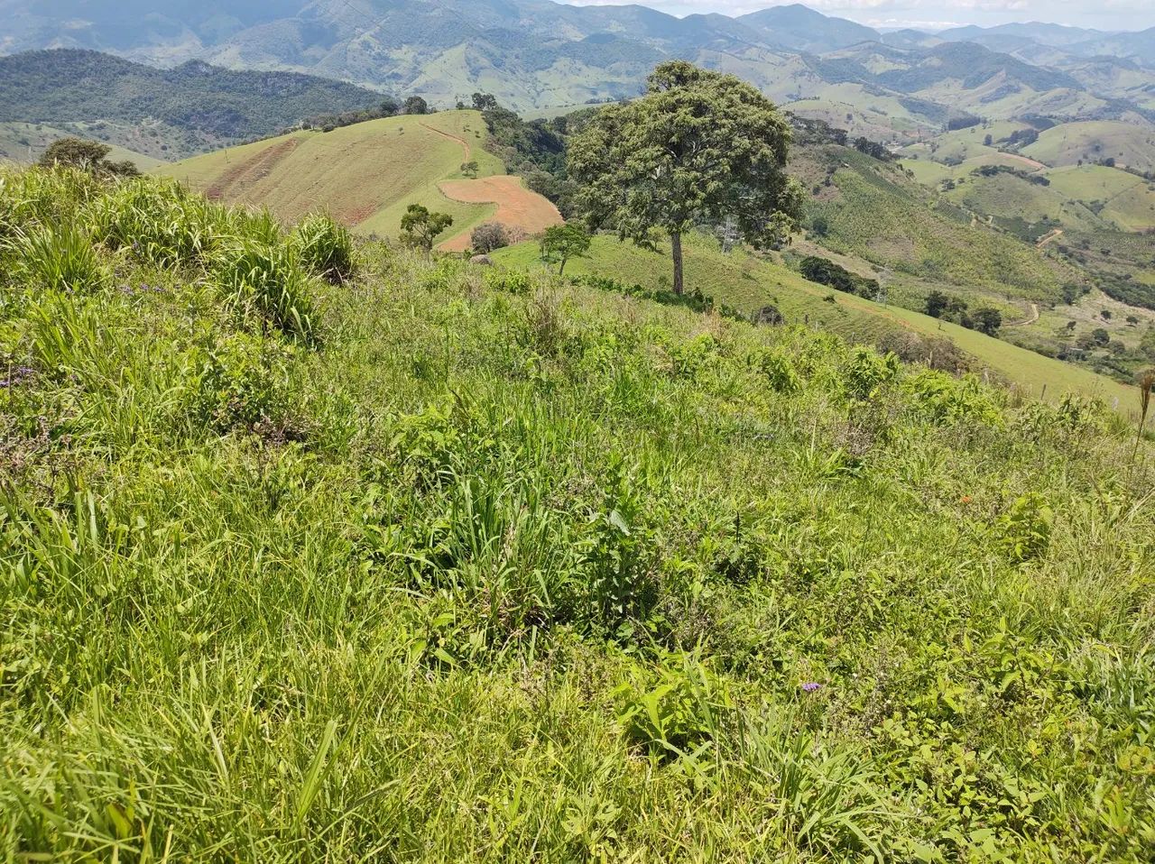 Fazenda em Maria da Fé - Foto 2