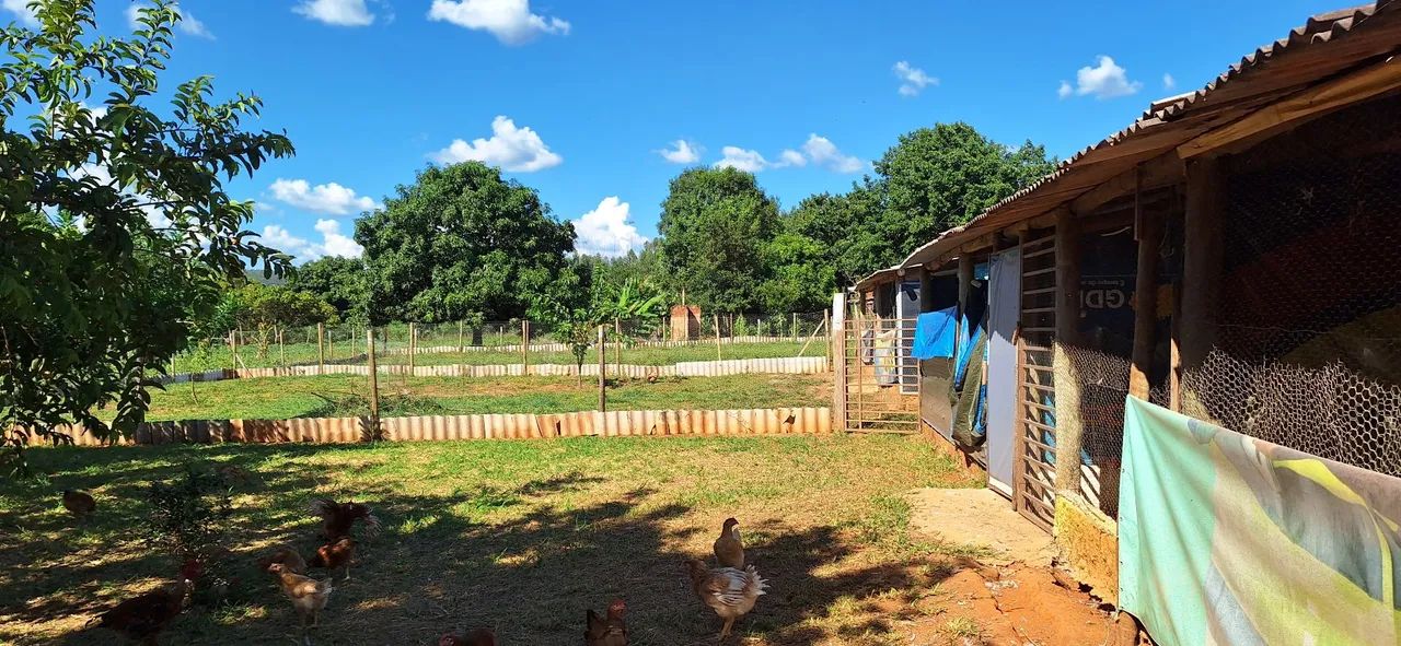 Chácara maravilhosa no Rajadinha-DF. PERTINHO DO ASFALTO . - Foto 15