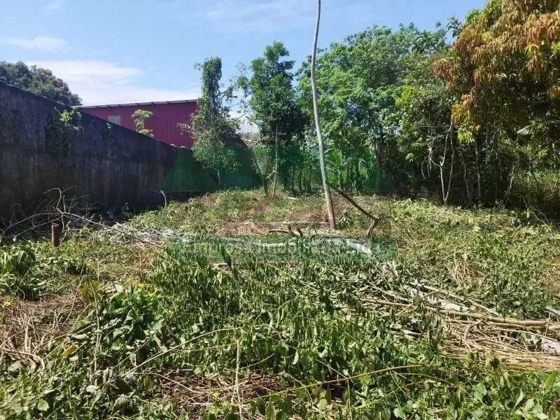 Terreno-LOCAÇÃO-Cidade de Deus-Manaus-AM - Foto 3