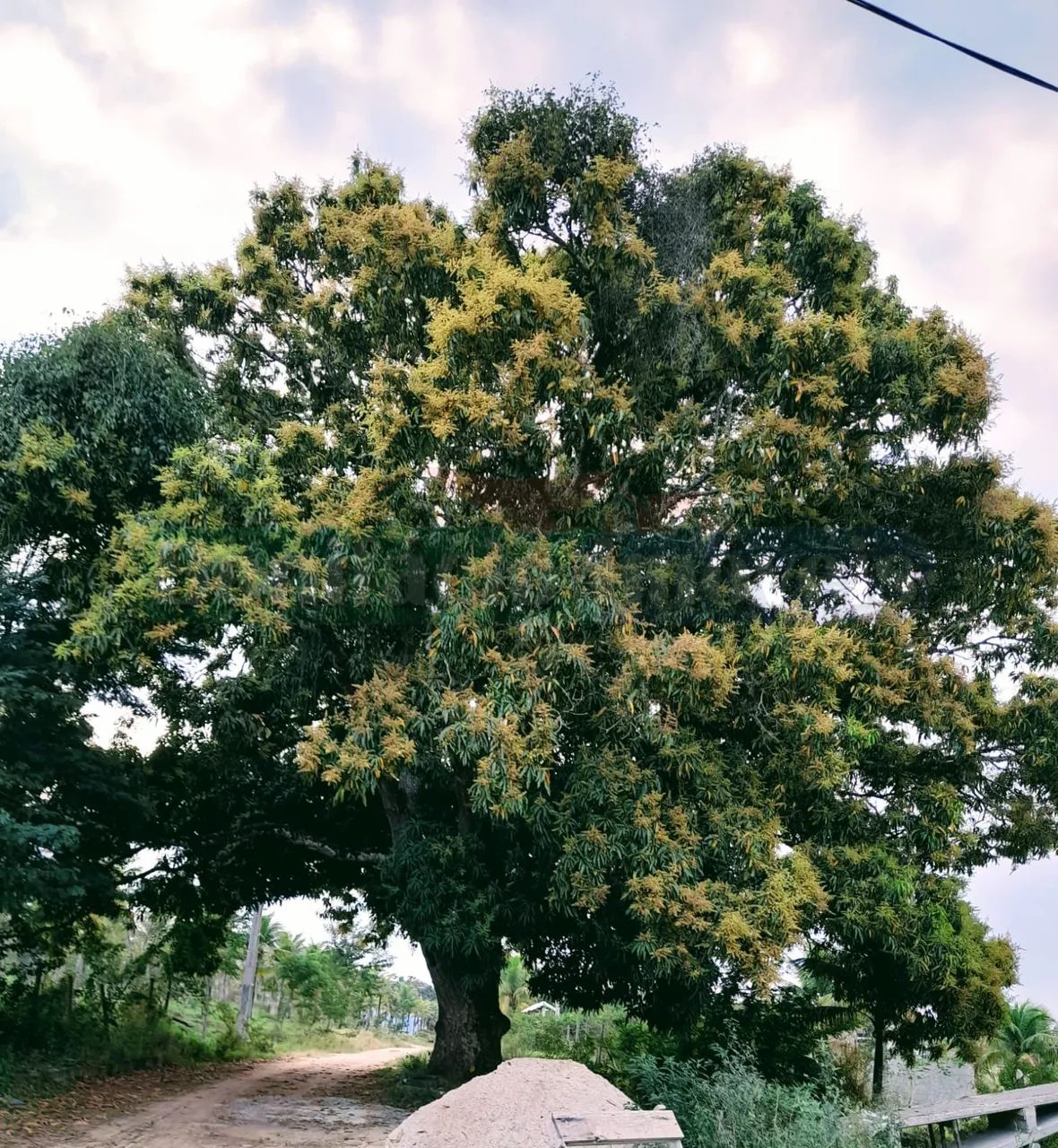 Excelente terreno para venda, com excelente localização !!! - Foto 5