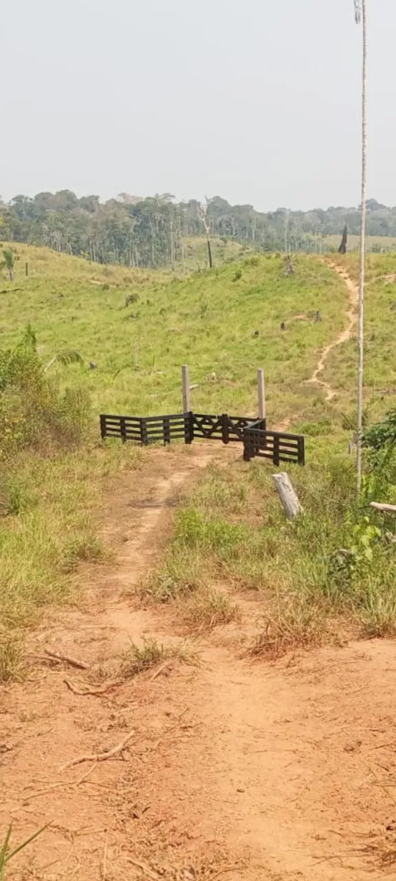 Vendo uma fazenda