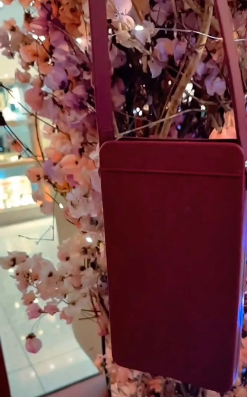 Porta Celular Brizza Arezzo (Novo - Cor Vinho) R$30 - Foto 2