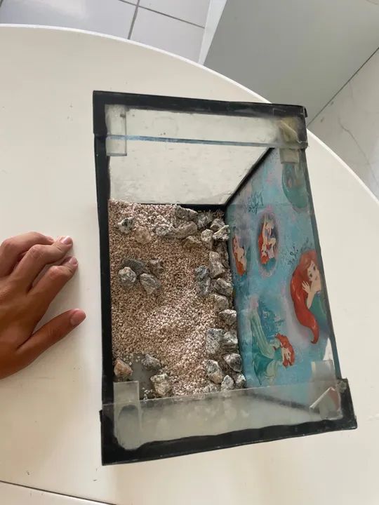 aquário de 7 litros - Foto 5