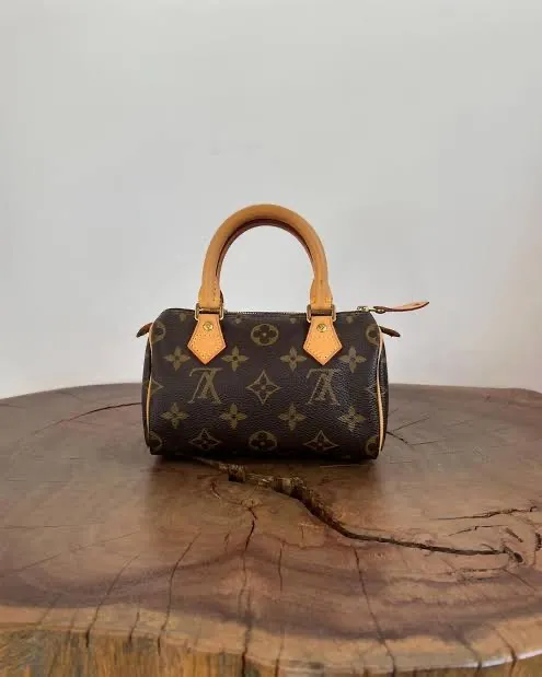 Bolsa Louis Vuitton Speedy 25 Original