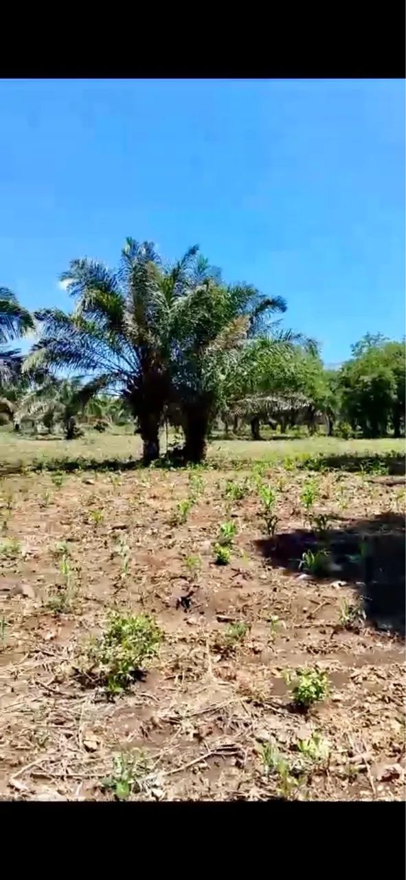 Excepcional Sítio com renda