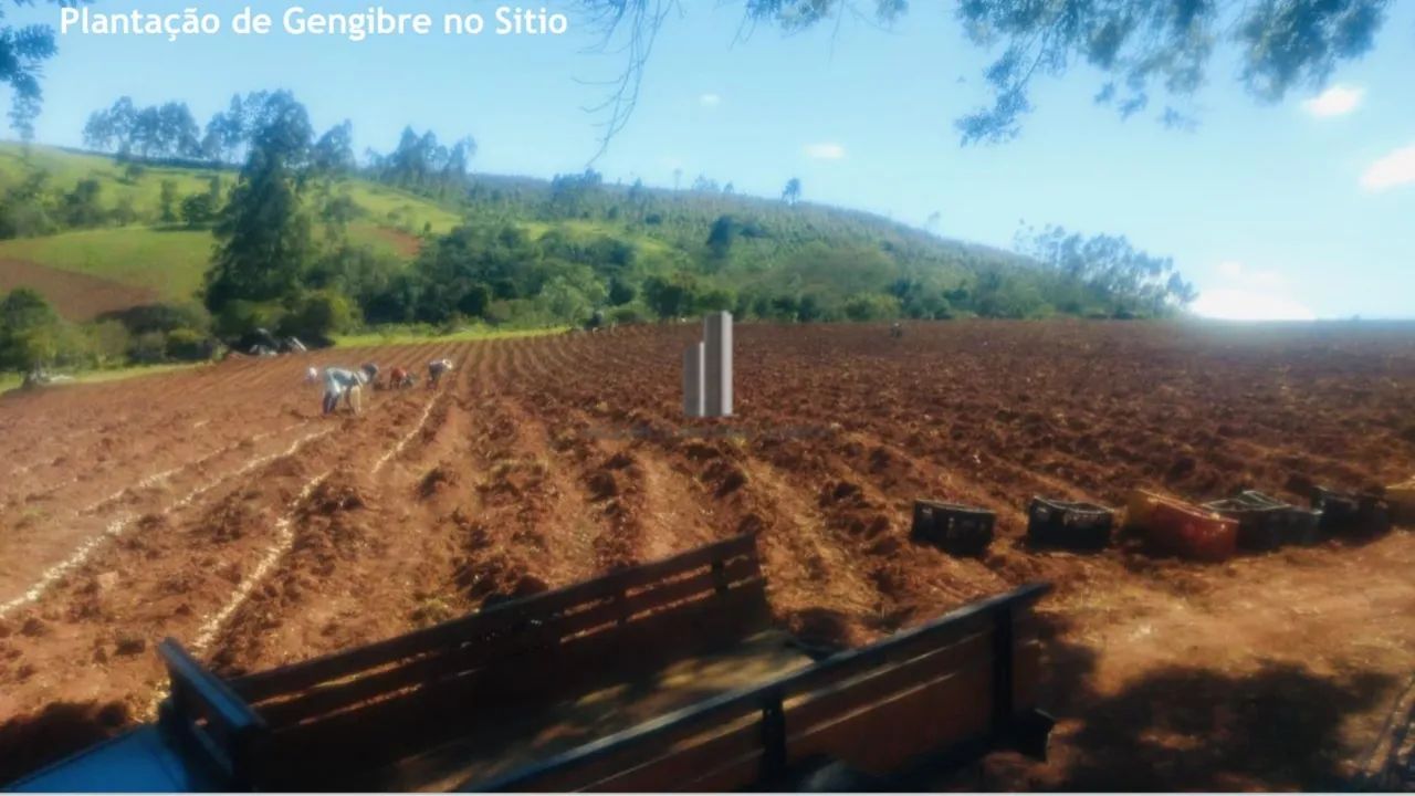 SÍTIO EM TAPIRAÍ BAIRRO GARCIAS TAPIRAÍ SP VENDA - Foto 2