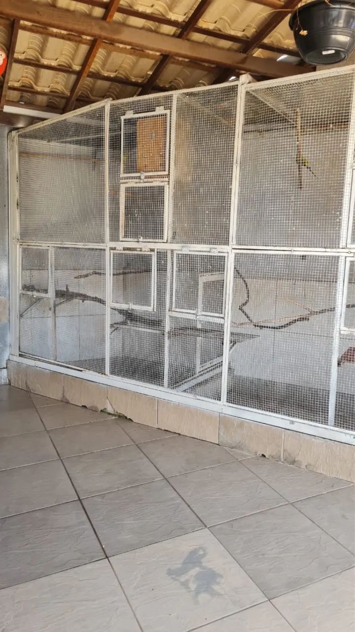 Viveiro top - Foto 2