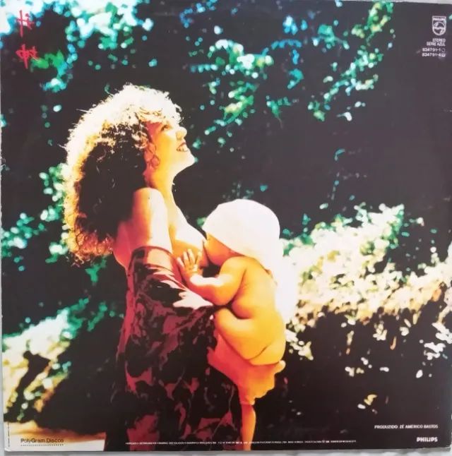 LP-Disco Vinil-Elba Ramalho - Fruto - Ano1988 - Com encarte - Foto 2