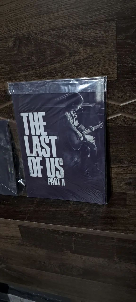 Quadro The Last of Us (modelo 2)