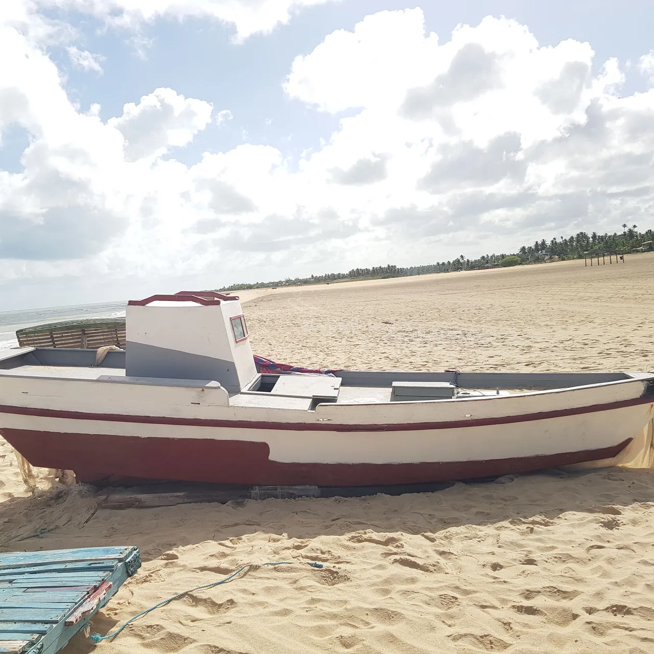 Canoa De tábua de alta qualidade