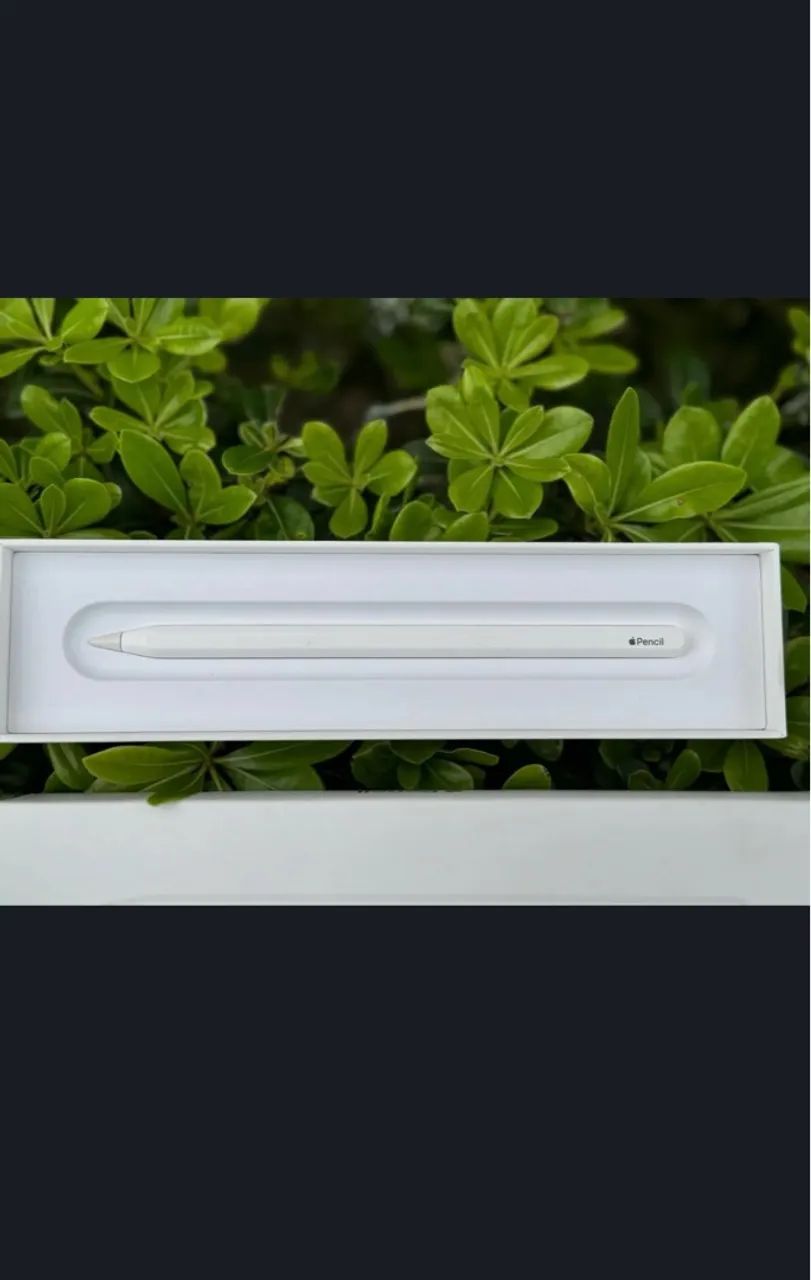 Apple Pencil (2ª Geração) - Novo