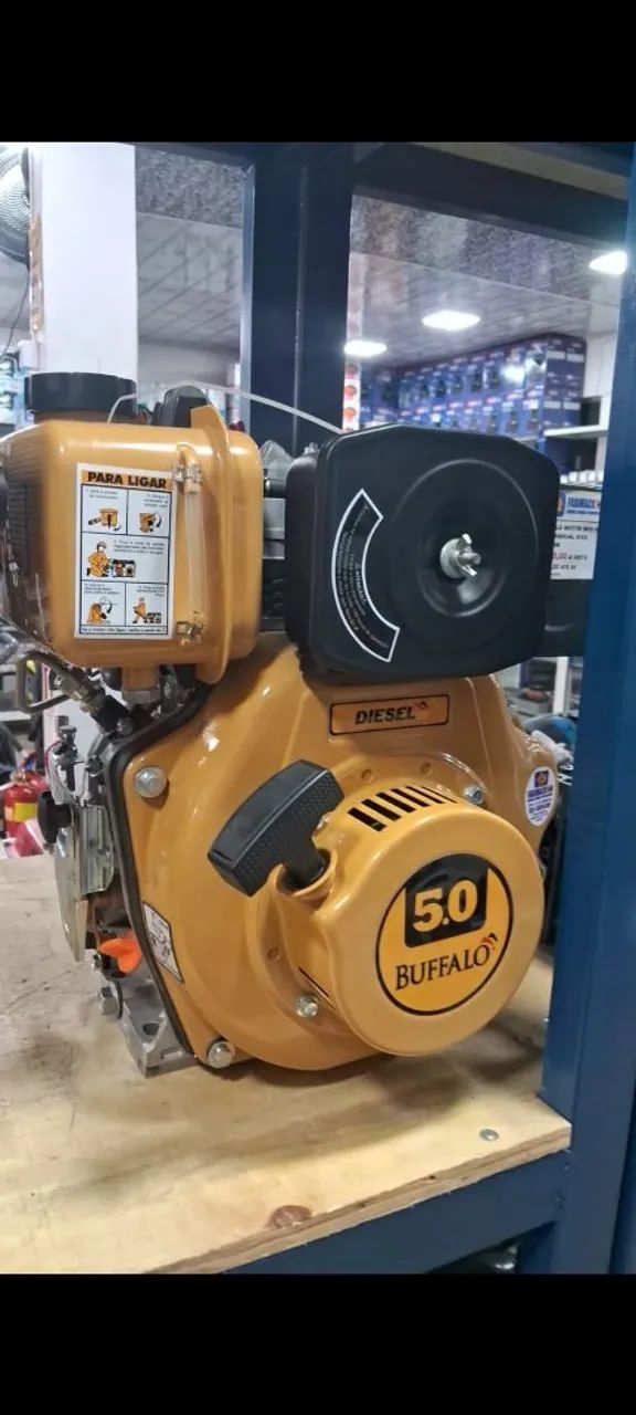MOTOR A DIESEL P/MANUAL 5CV BUFFALO - Foto 2