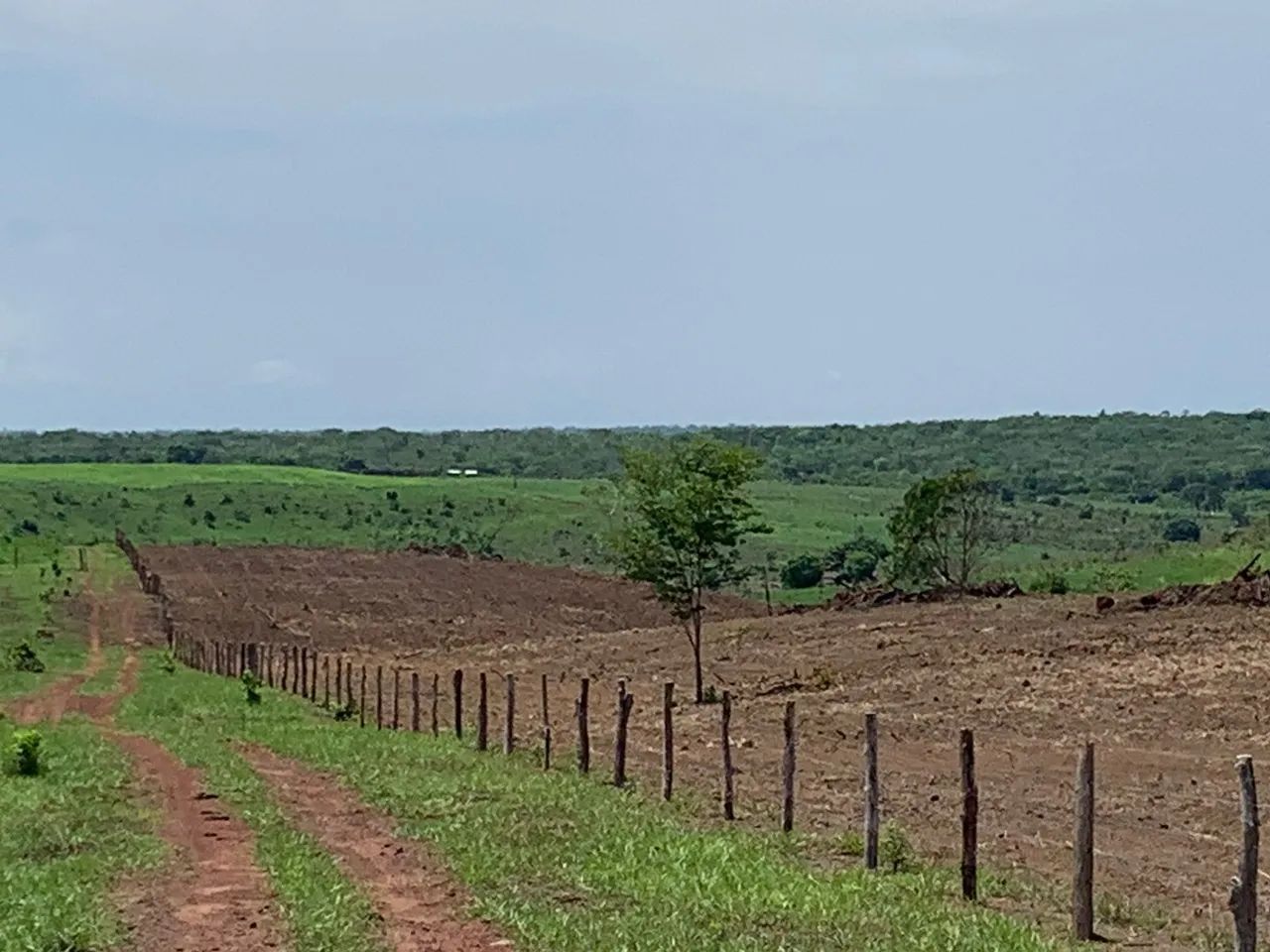 Fazenda de 1.074,5 hectares, R$ 16.751, por hectares. - Foto 3