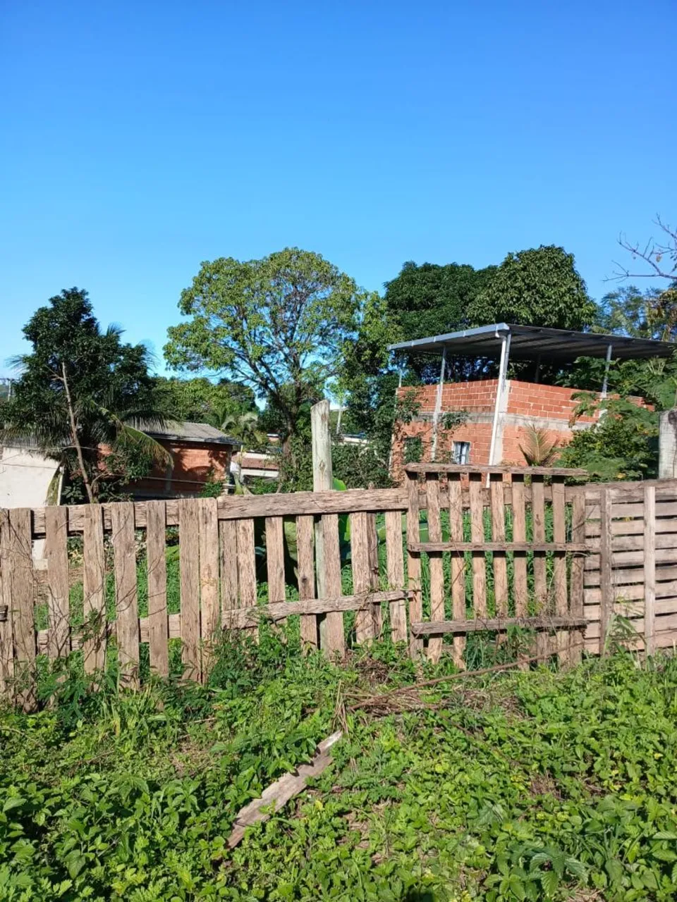 Lote Nova Betânia