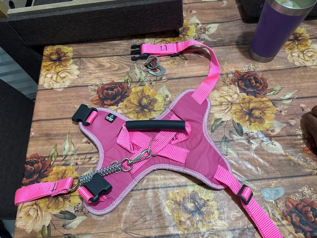 Coleira e Peitoral para Cães - Rosa
