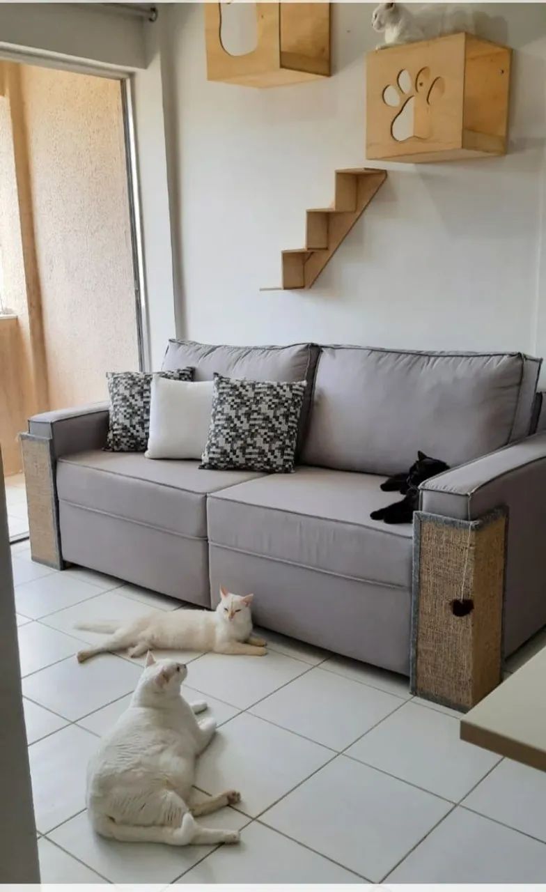 Circuito para gatos  - Foto 2