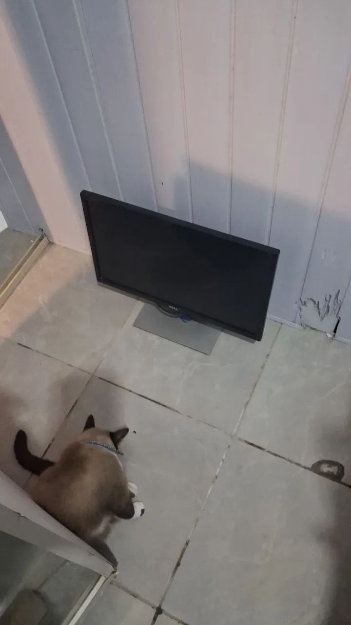 Monitor Dell [DEFEITO] - Foto 2