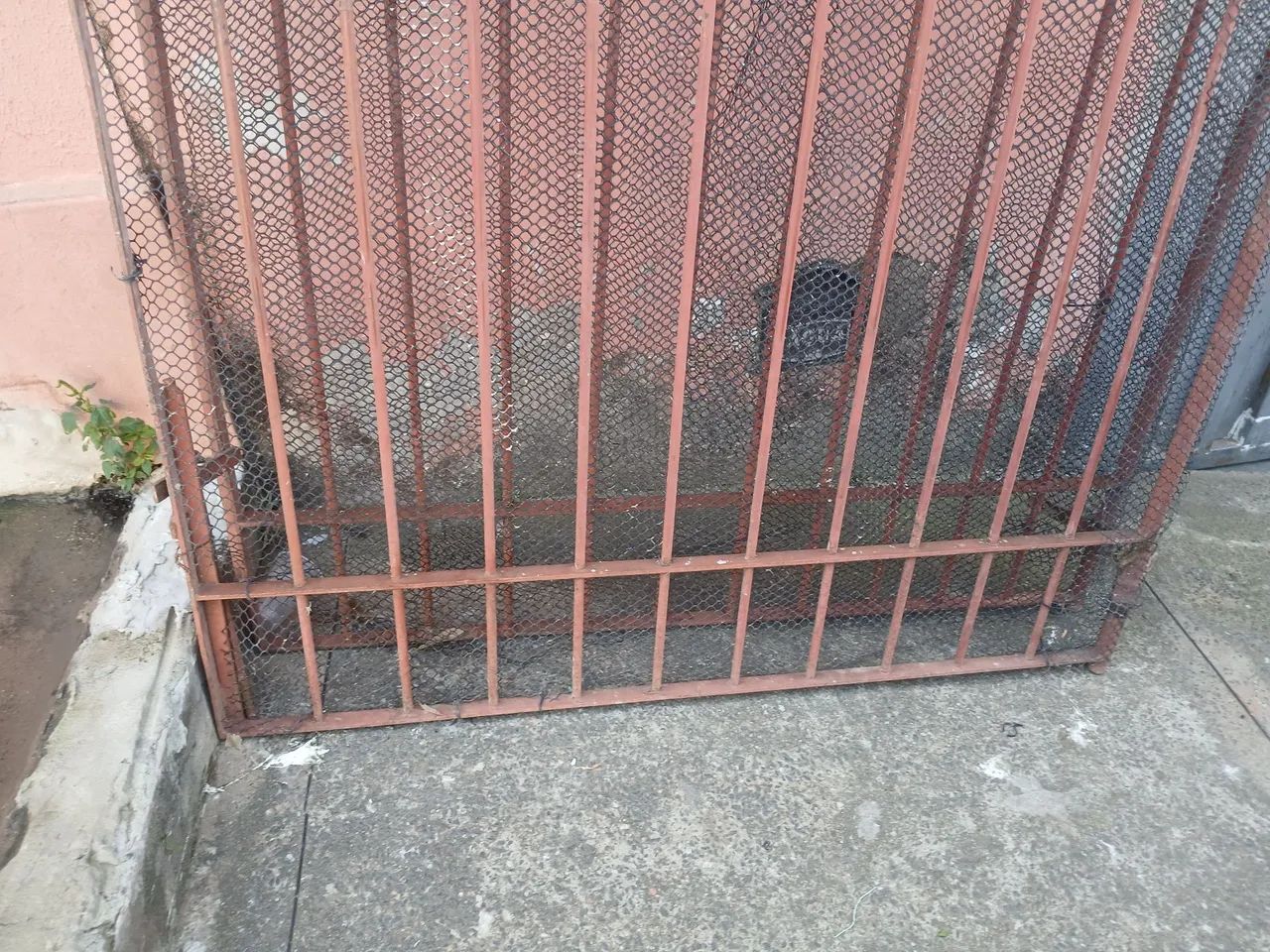 Portão de ferro reforçado64198290748161121