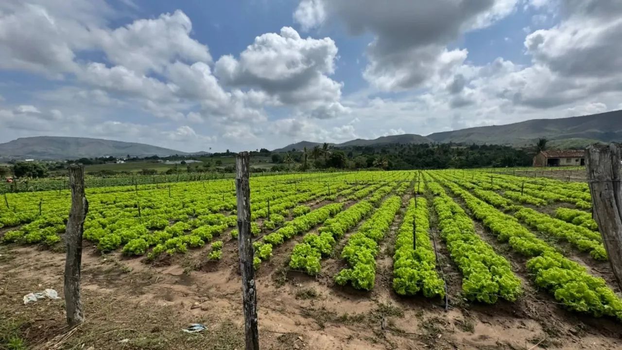 Chácara Para venda com estrutura para aluguel e bem completa. - Foto 2