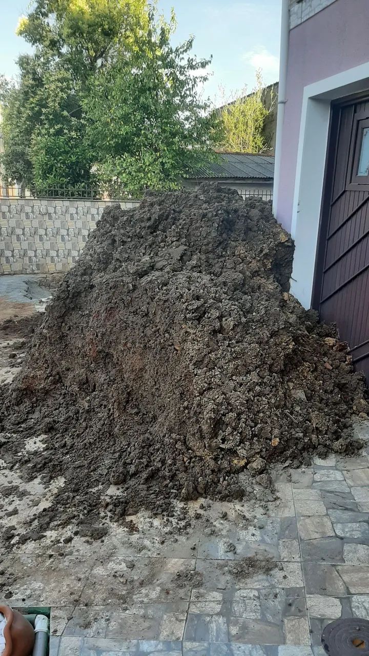 Terra64573824504195120