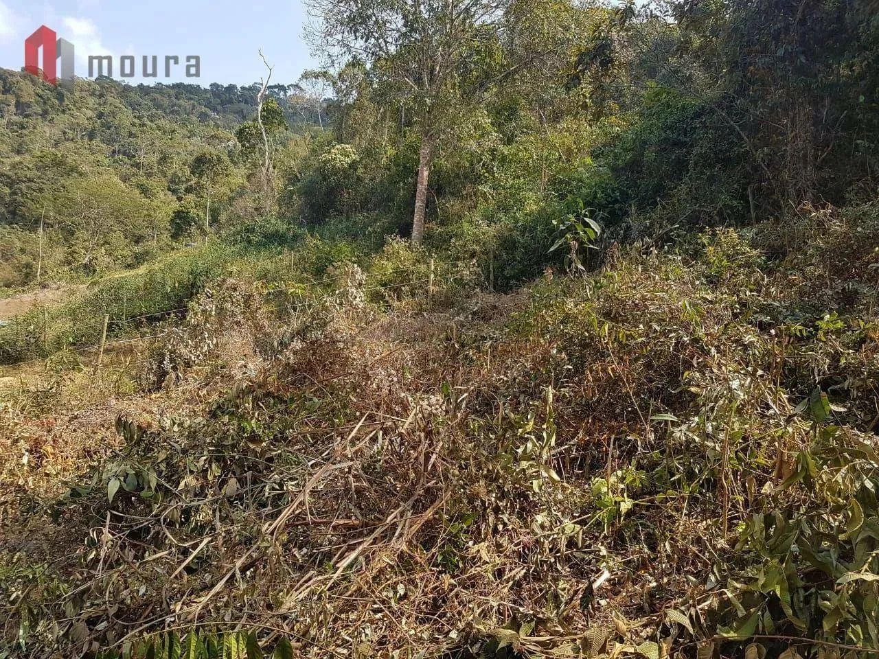 Portal do Aeroporto - lote - Terreno - venda - Foto 5