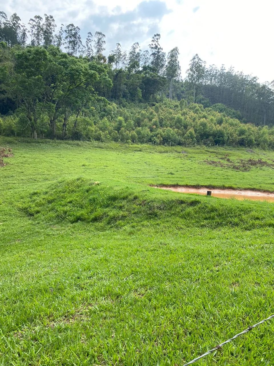 OPORTUNIDADE DE INVESTIMENTO COM VALORIZAÇÃO CERTA !!! - Foto 3