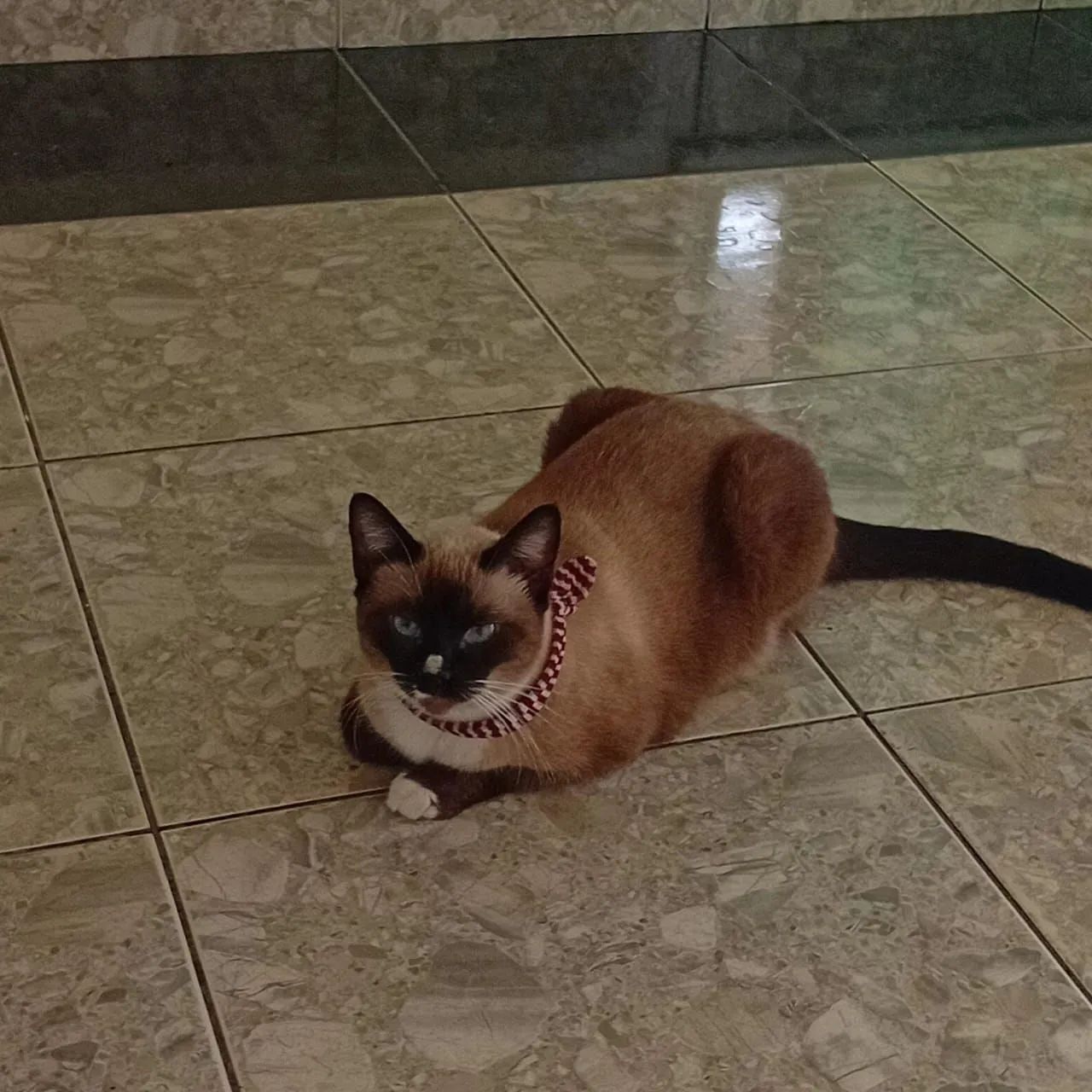 Estou doando,motivo viagem  - Foto 2